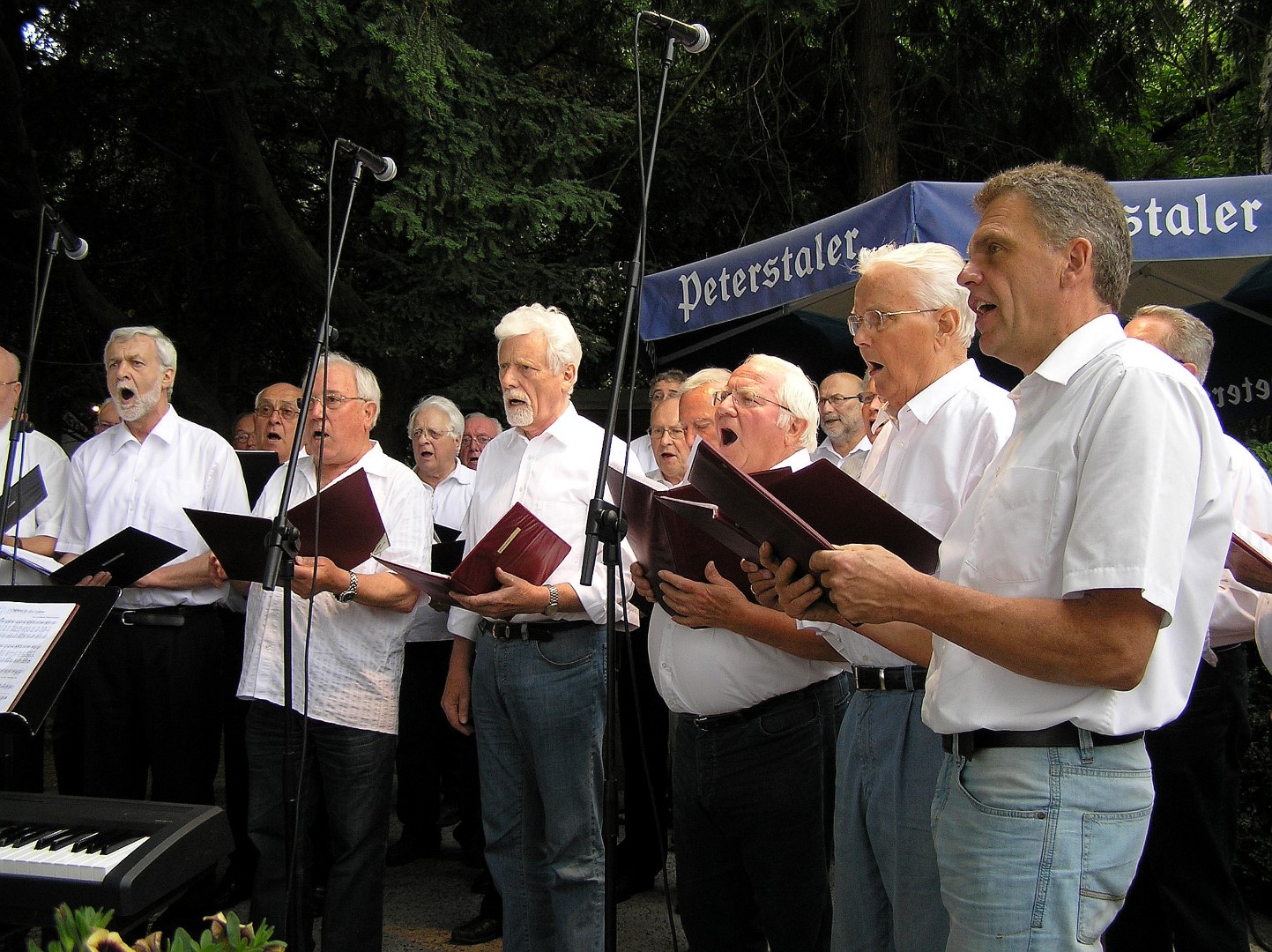 Parkfest2014_002.JPG