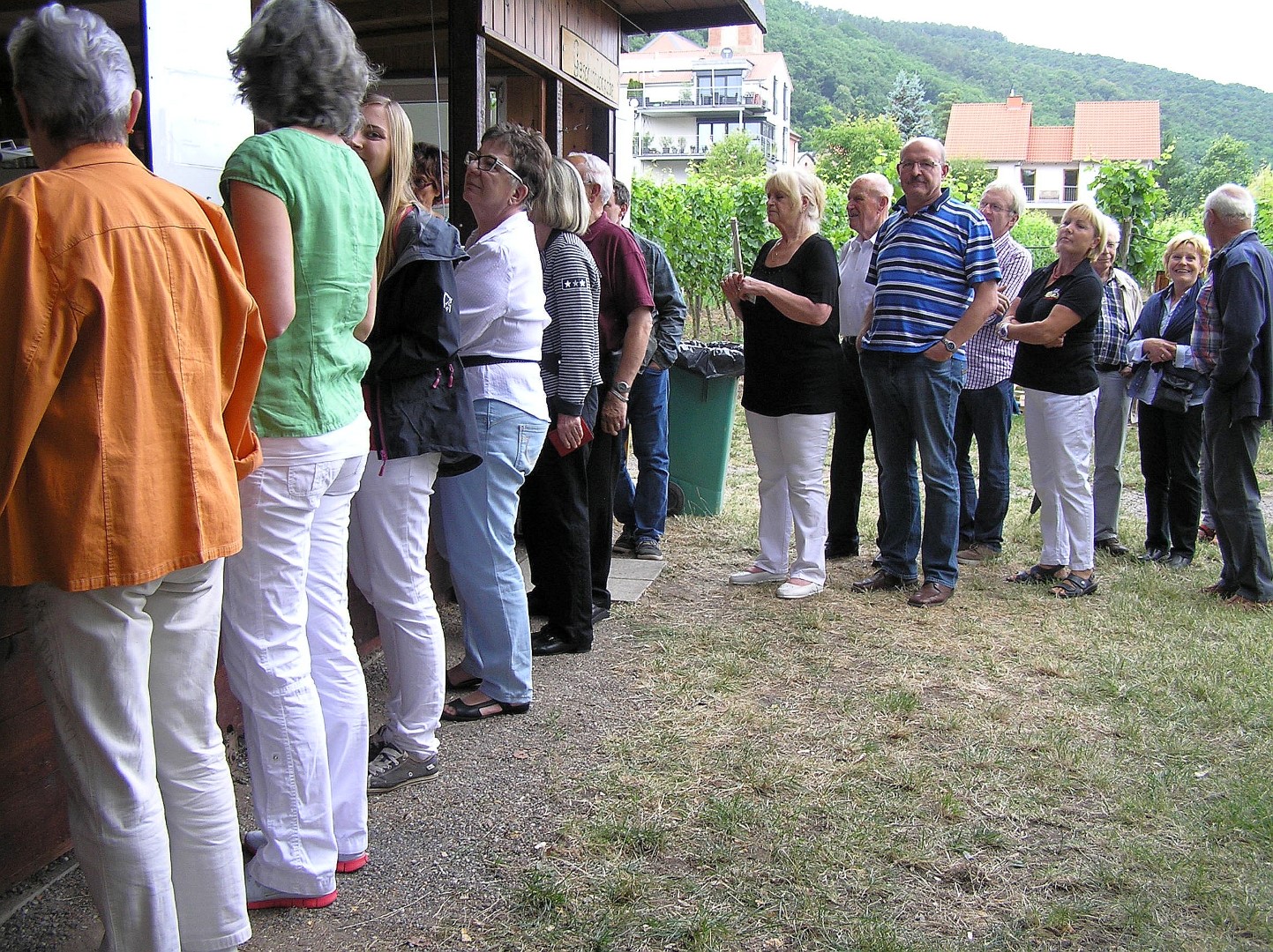 Parkfest2014_006.JPG