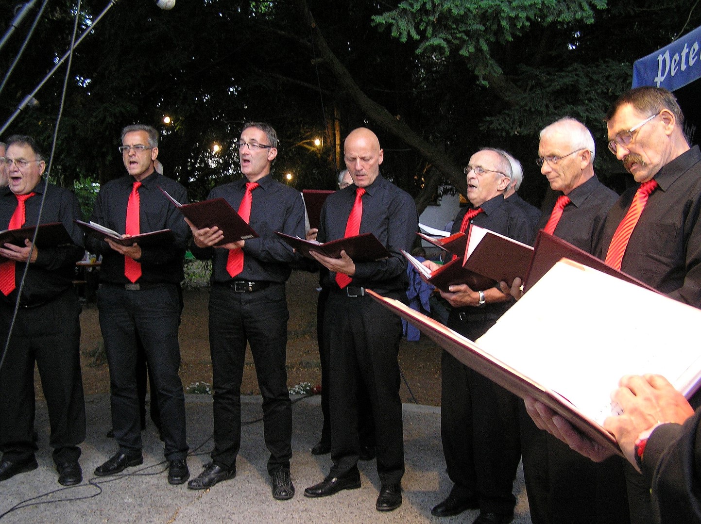 Parkfest2014_011.JPG