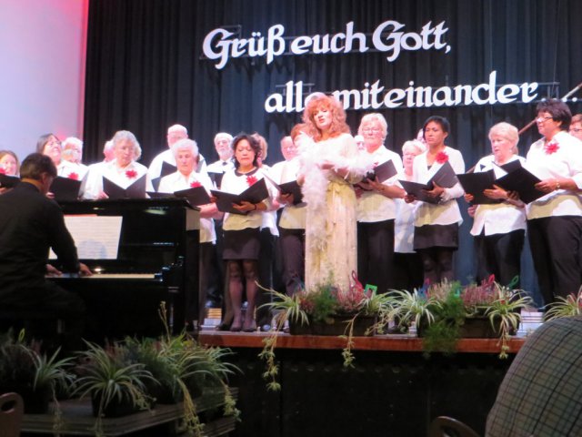 Laternenfest Einhausen 2015
