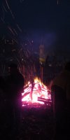 Oischerre 2015