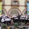 Konzert im Rathaushof 2015