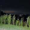 Woikerwe_2012_017