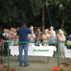 parkfest_2012_002