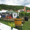 parkfest_2012_006