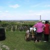 parkfest_2012_012