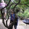 parkfest_2012_025