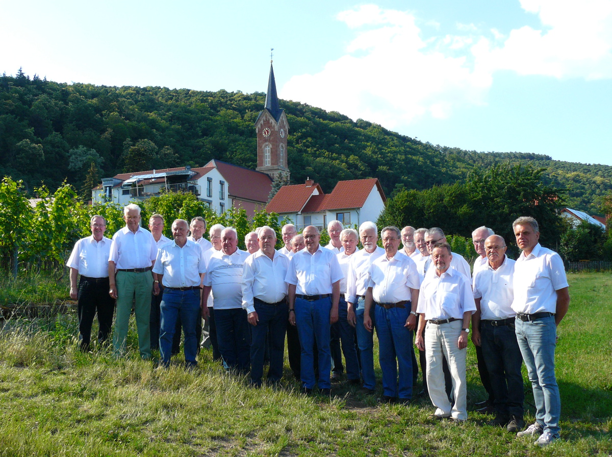 Männerchor am Parkfest 2015